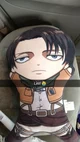 Levi Ackerman 
