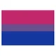 Bisexual Flag