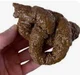 poop