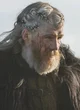 Viking jarl