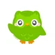 Duolingo JR