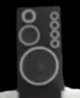 Large speakerman