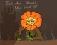 Cagney Carnation