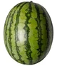 A single watermelon