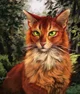 Firestar