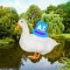 A Duck BETA