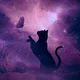 Space Kitty