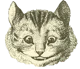 The Cheshire cat