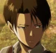 Levi Ackerman
