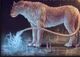 lioness 