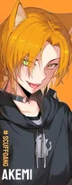 Akemi Nekomachi