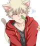 Cat Bakugou Katsuki