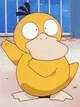 Psyduck