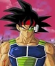 Bardock