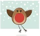 Robin bird