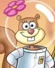 Sandy cheeks