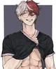 shoto todoroki