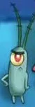 Plankton 