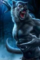 Alpha Werewolf