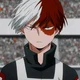 Shoto Todoroki