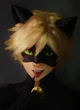 Chat Noir