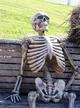 Skeleton lord 