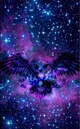 Owl the is at space