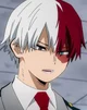 Shoto Todoroki