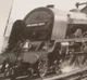 Royal Scot 6100