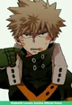 Katsuki Bakugou 