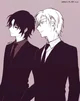 Vladimir and Radomir