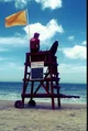 Lifeguard 