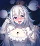 Booette