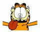 Insane Garfield 
