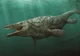 Tylosaurus