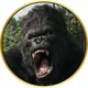 King Kong
