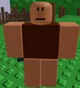 Carl The NPC