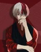 Shoto Todoroki 