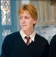 Fred Weasley 