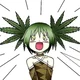 Weed chan