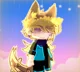 Determination fox