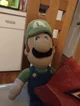 The awesome luigi
