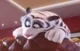 Hu the white tiger