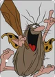 Captain Caveman