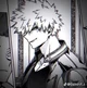 Bakugo katsuki 