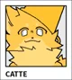 Catte