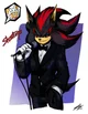 Shadow the hedgehog 