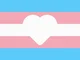 Trans support