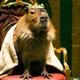 King Capybara
