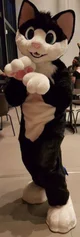 Furry